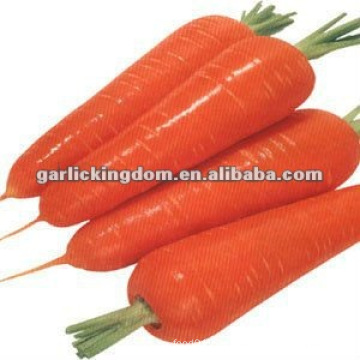 Свежая морковь для продажи